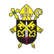 Brněnské biskupství